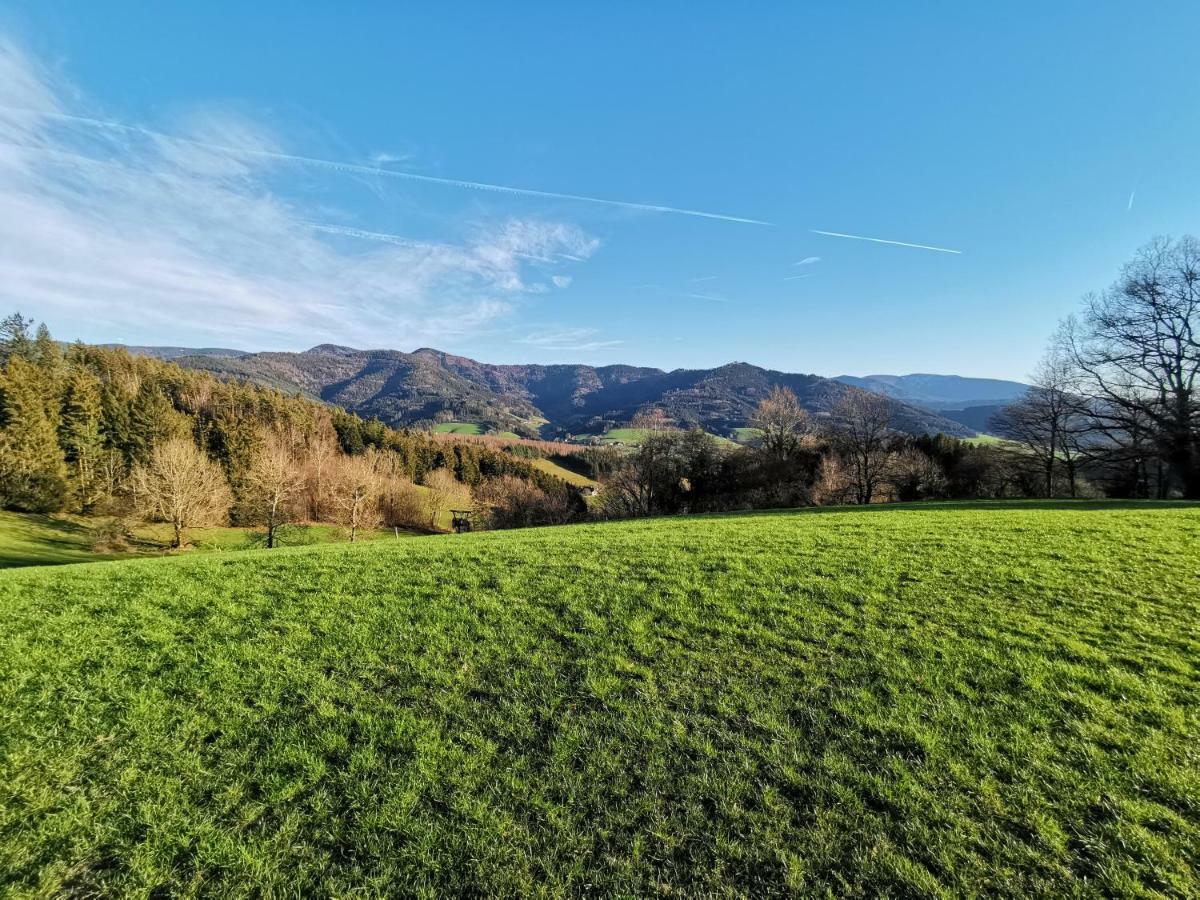 Modernes Appartement Schwarzwald Naehe Freiburg Winden im Elztal Exteriér fotografie