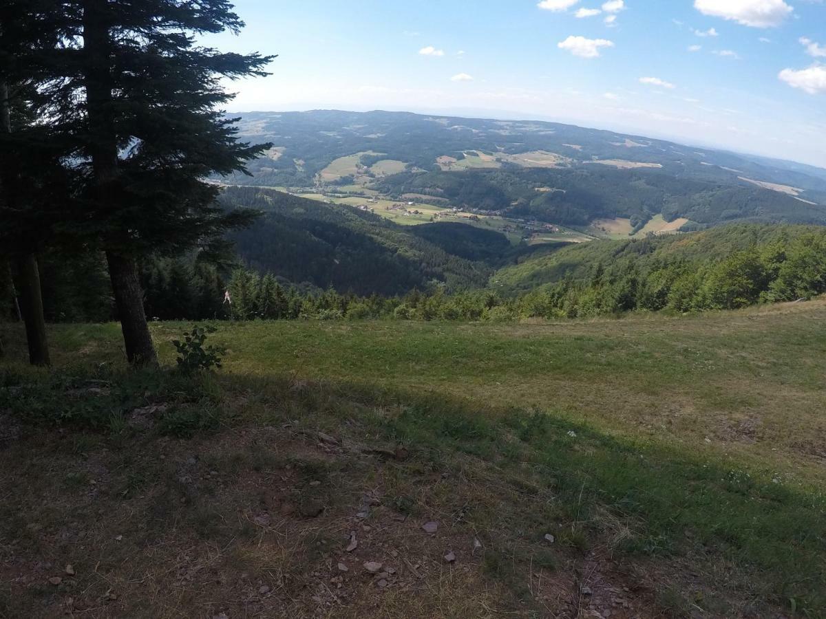 Modernes Appartement Schwarzwald Naehe Freiburg Winden im Elztal Exteriér fotografie