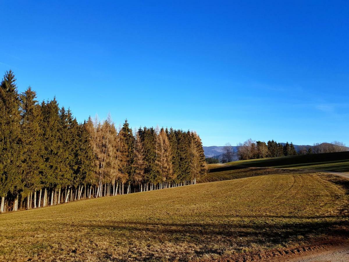 Modernes Appartement Schwarzwald Naehe Freiburg Winden im Elztal Exteriér fotografie