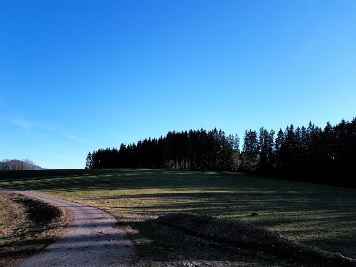 Modernes Appartement Schwarzwald Naehe Freiburg Winden im Elztal Exteriér fotografie