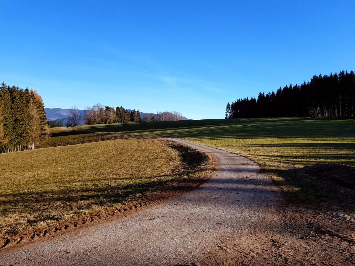 Modernes Appartement Schwarzwald Naehe Freiburg Winden im Elztal Exteriér fotografie