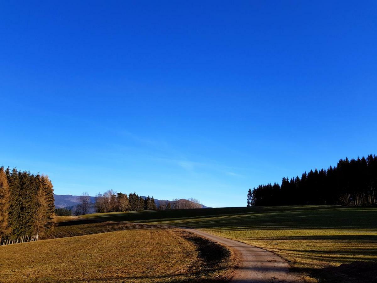 Modernes Appartement Schwarzwald Naehe Freiburg Winden im Elztal Exteriér fotografie